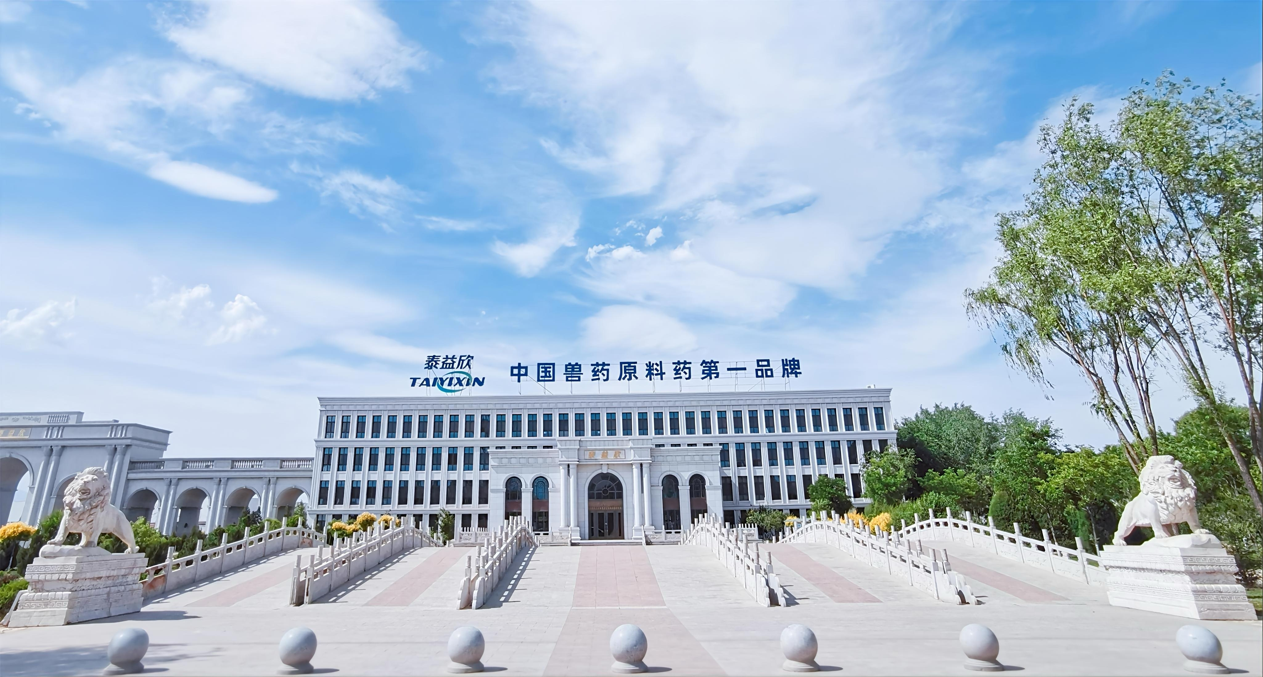 2023年发展历程